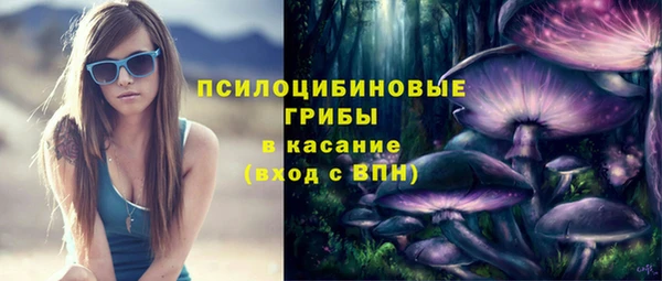 МДПВ Арсеньев