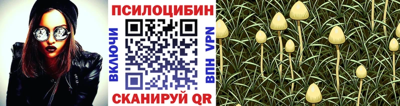 магазин продажи наркотиков  Великий Устюг  omg рабочий сайт  Псилоцибиновые грибы GOLDEN TEACHER 